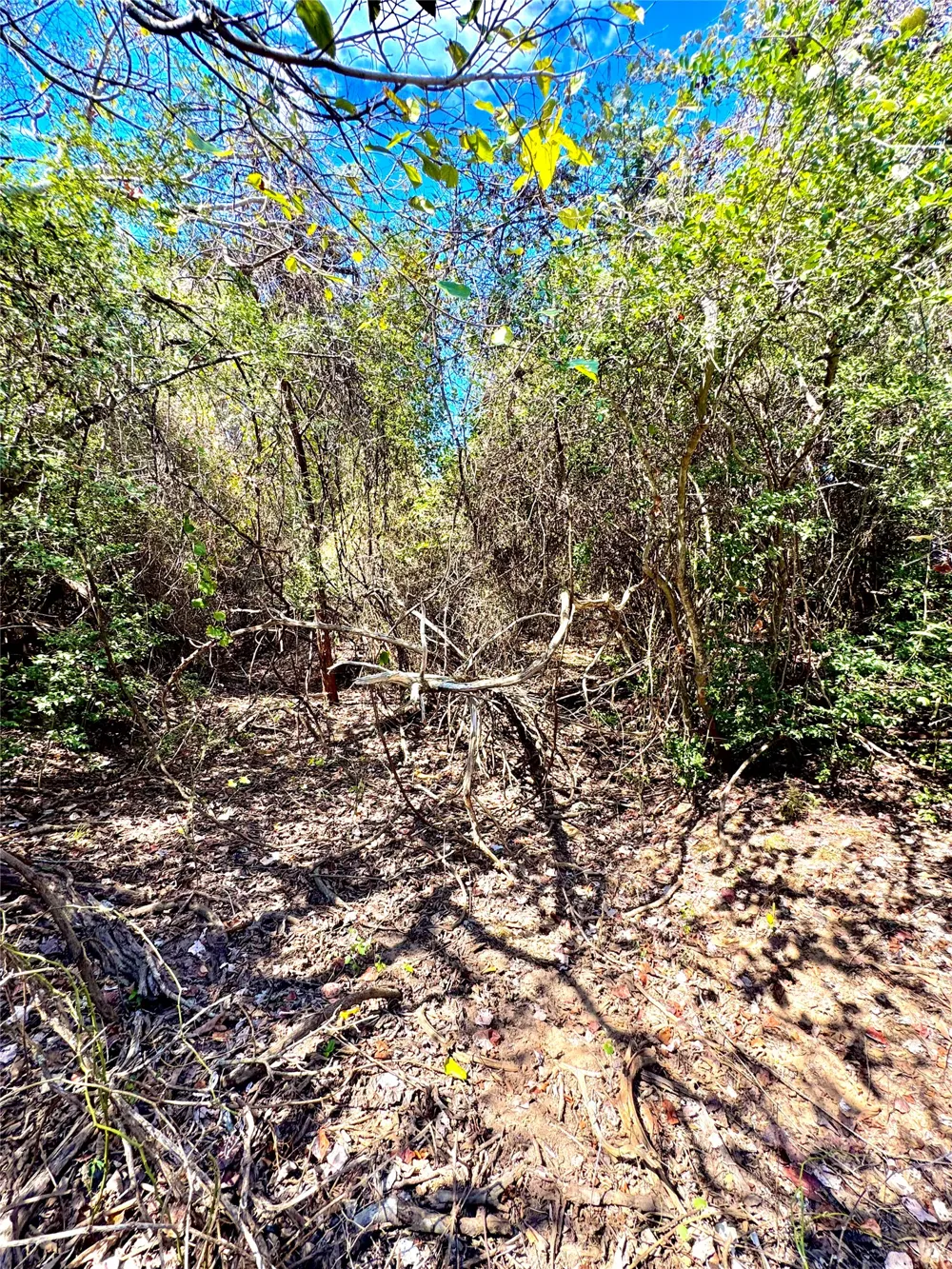 50 Rabel Road Rosanky, TX 78953