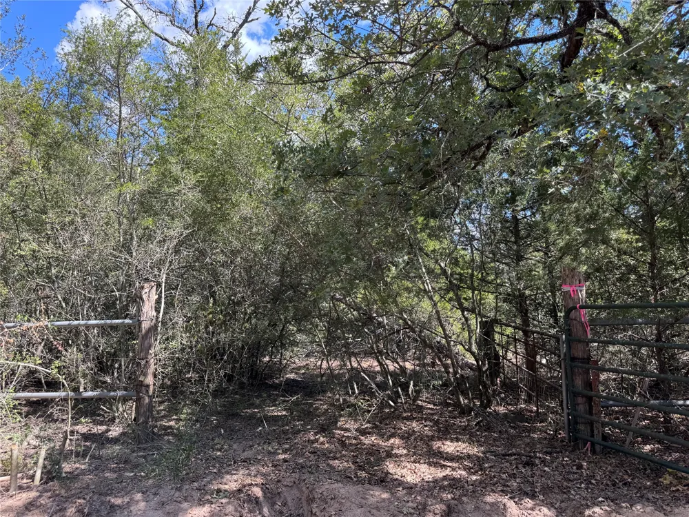 50 Rabel Road Rosanky, TX 78953