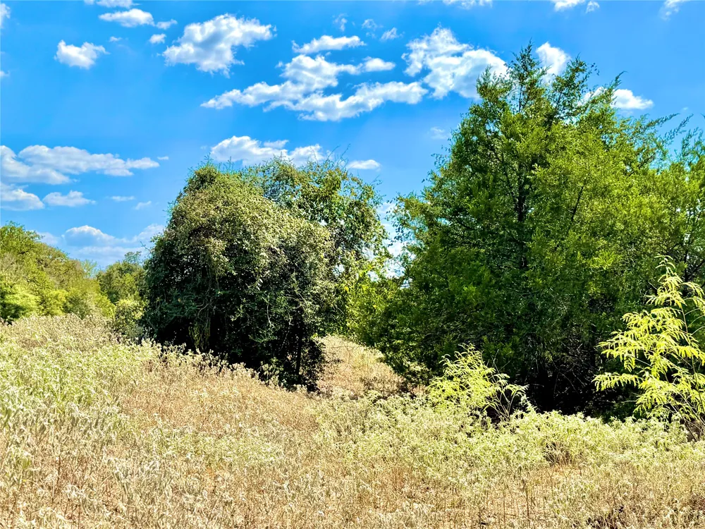 50 Rabel Road Rosanky, TX 78953