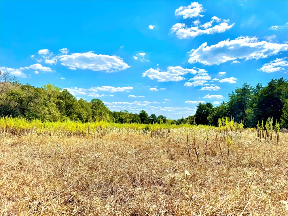 50 Rabel Road Rosanky, TX 78953