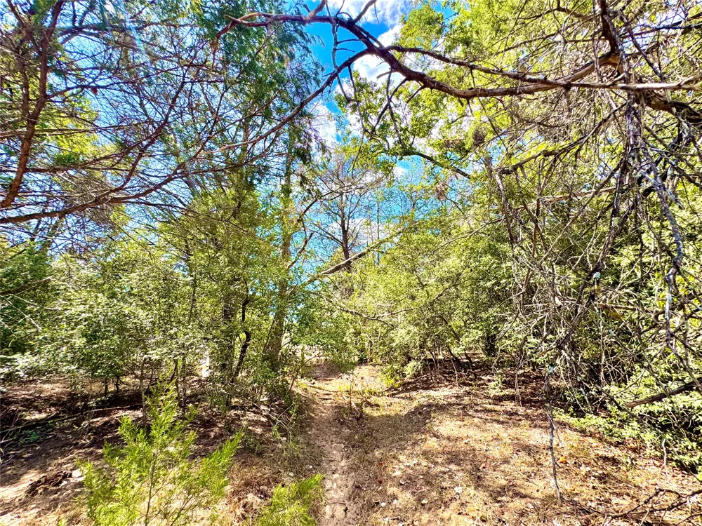 50 Rabel Road Rosanky, TX 78953