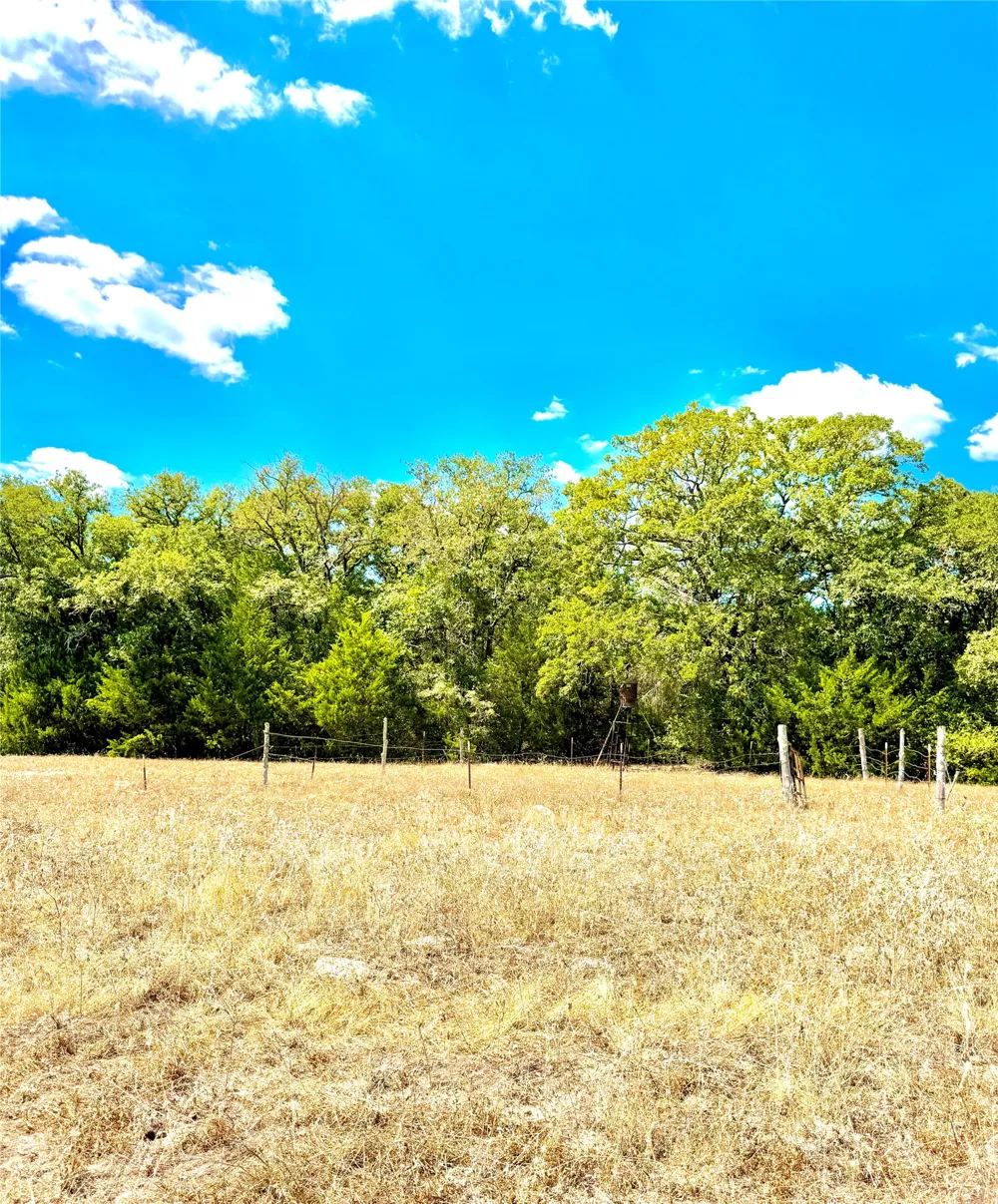 50 Rabel Road Rosanky, TX 78953