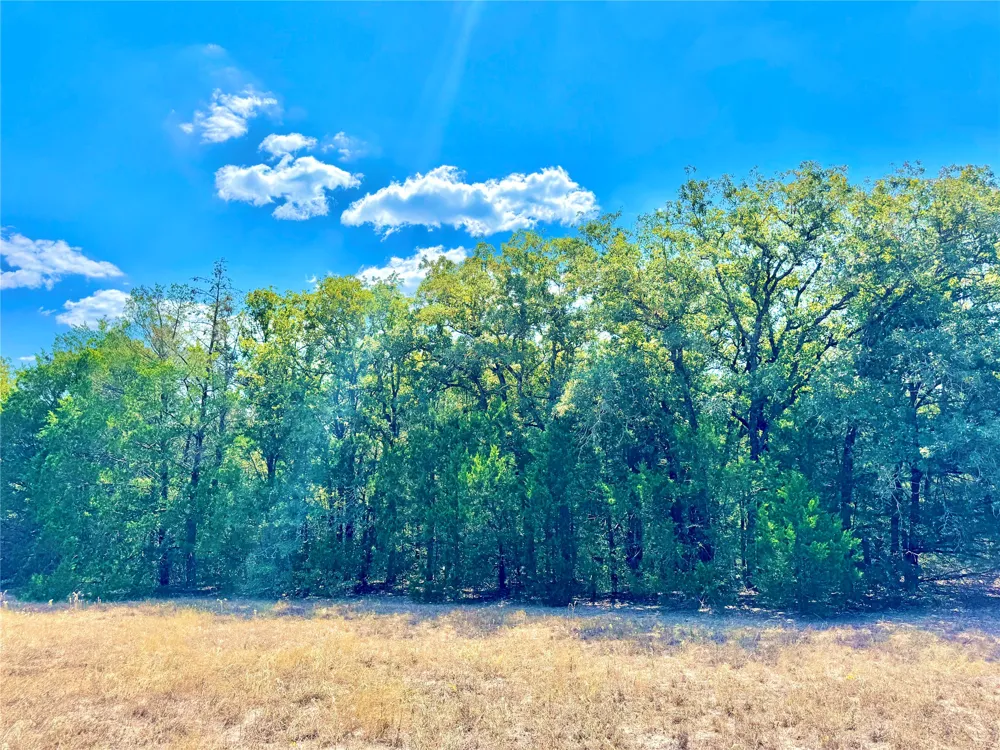 50 Rabel Road Rosanky, TX 78953