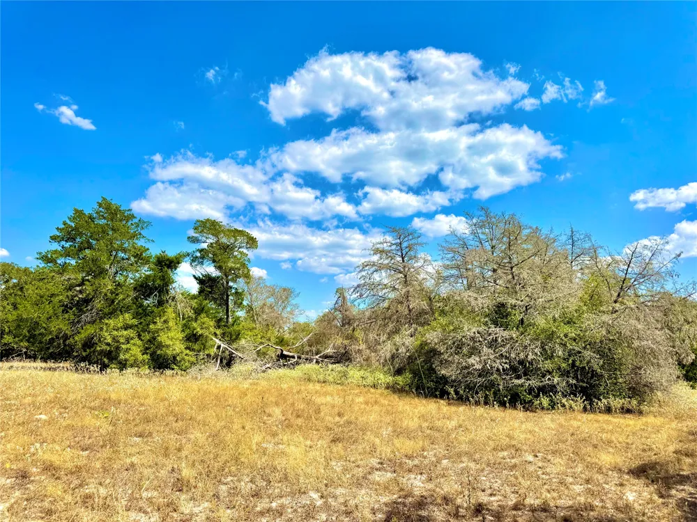50 Rabel Road Rosanky, TX 78953