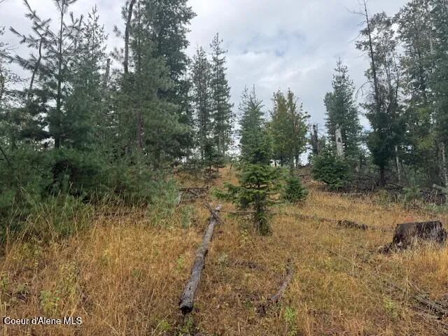 NKA Parcel B Pinehurst, ID 83850