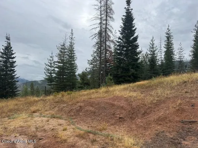 NKA Parcel B Pinehurst, ID 83850