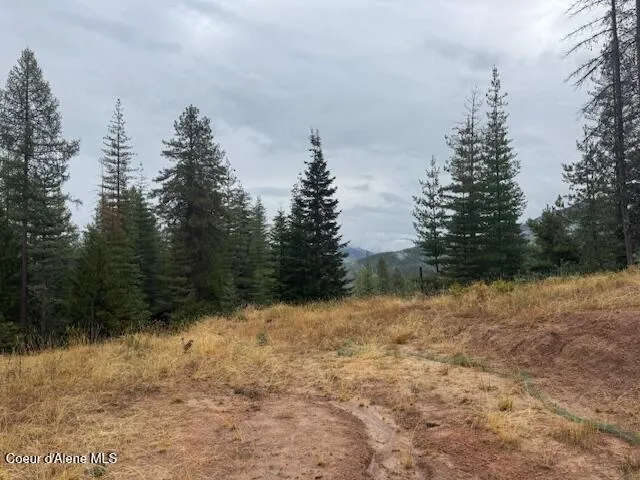 NKA Parcel B Pinehurst, ID 83850