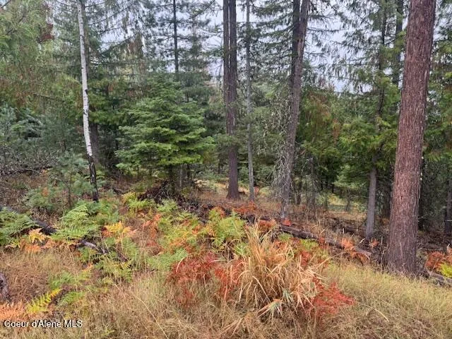 NKA Parcel B Pinehurst, ID 83850