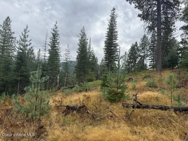 NKA Parcel B Pinehurst, ID 83850