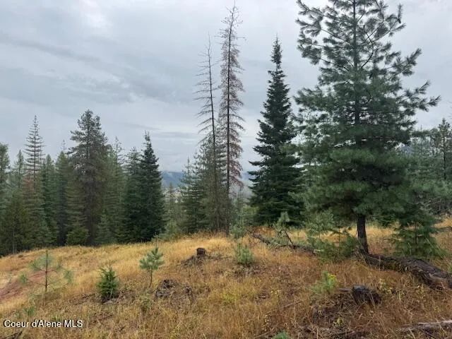 NKA Parcel B Pinehurst, ID 83850