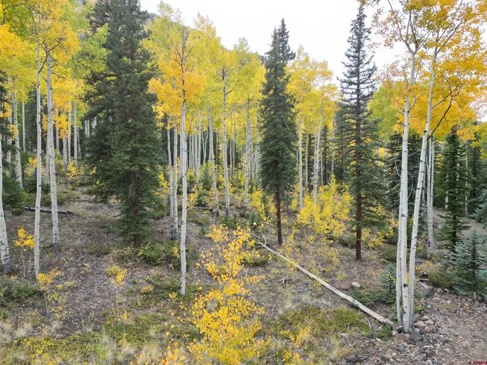 10 Vista Way Lake City, CO 81235