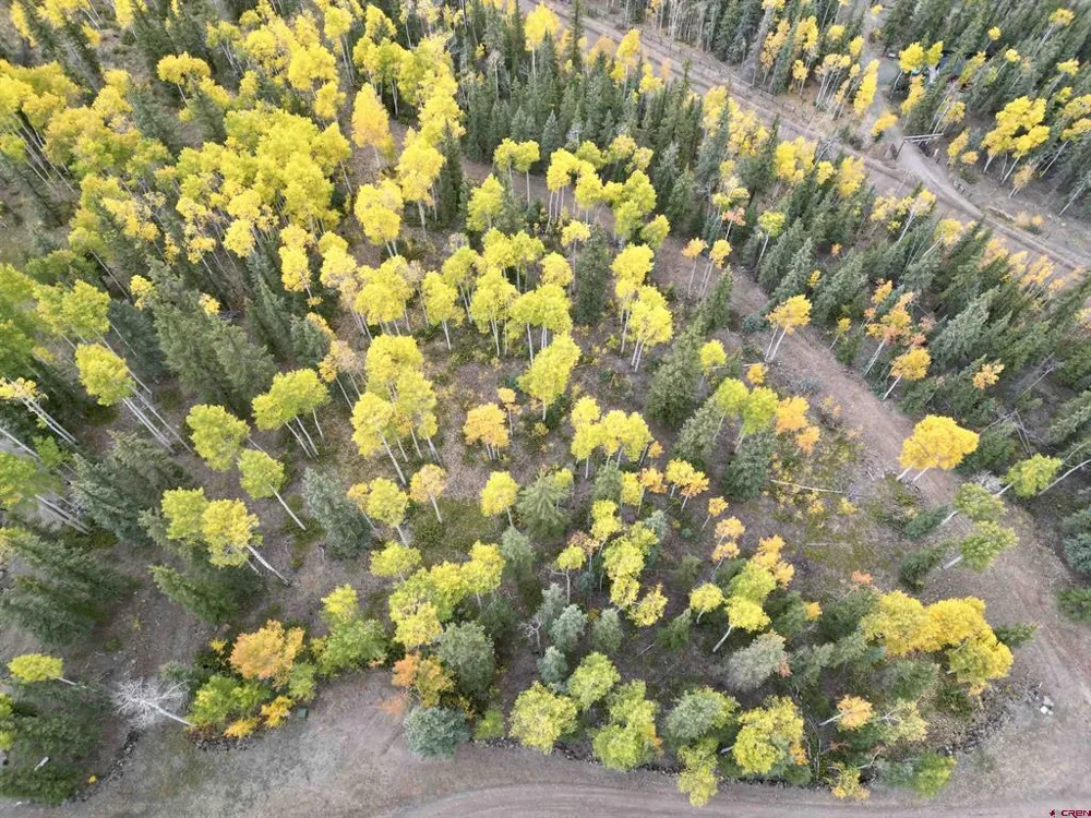 10 Vista Way Lake City, CO 81235