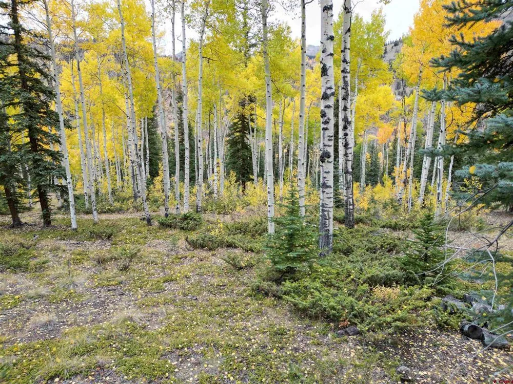 10 Vista Way Lake City, CO 81235