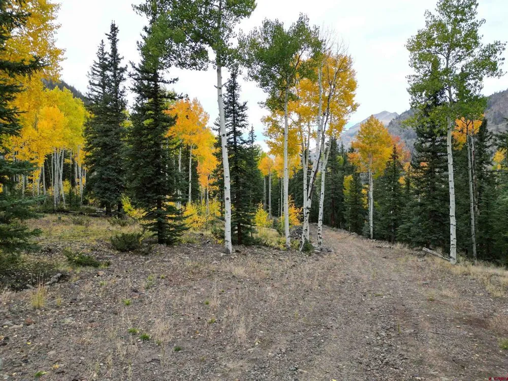 10 Vista Way Lake City, CO 81235