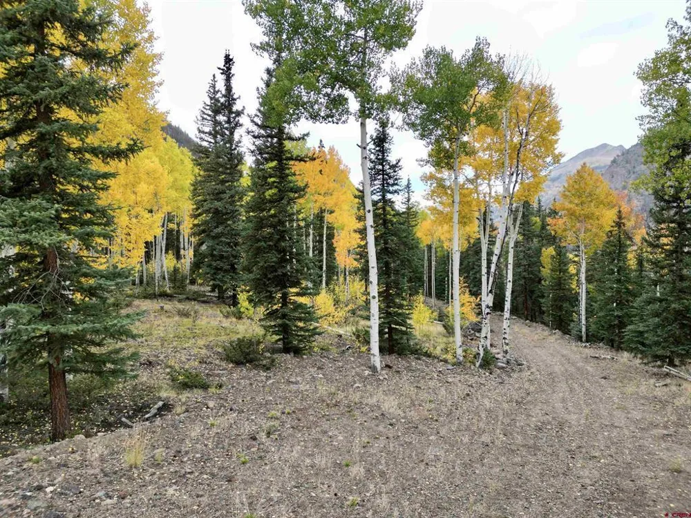 10 Vista Way Lake City, CO 81235