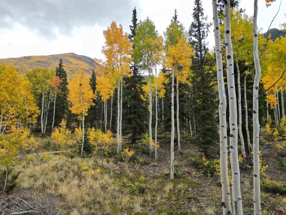 10 Vista Way Lake City, CO 81235