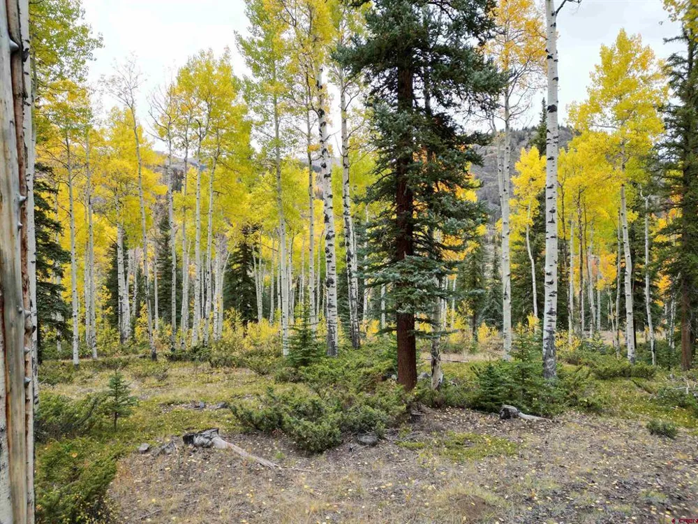 10 Vista Way Lake City, CO 81235