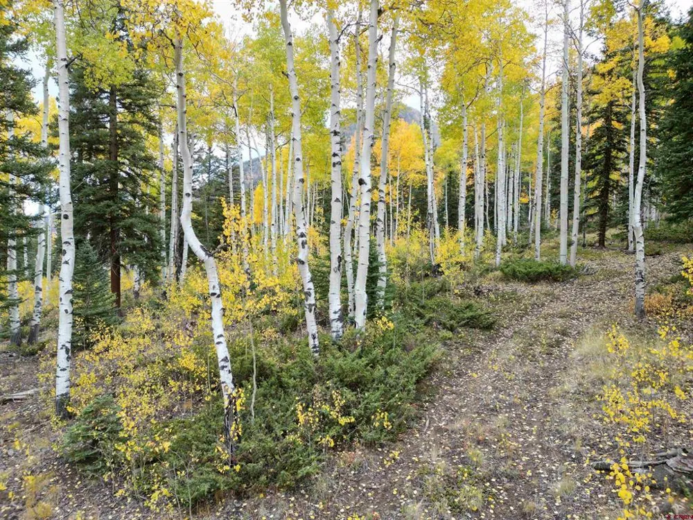 10 Vista Way Lake City, CO 81235