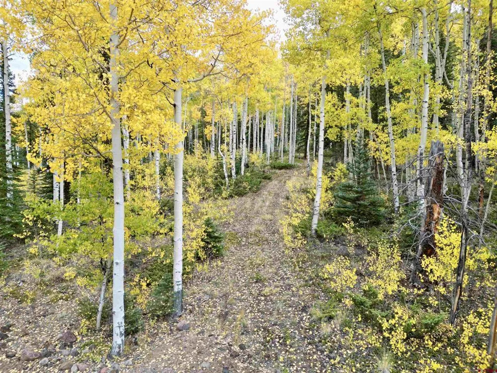 10 Vista Way Lake City, CO 81235