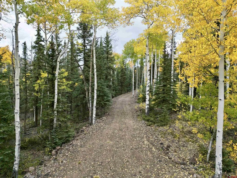 10 Vista Way Lake City, CO 81235