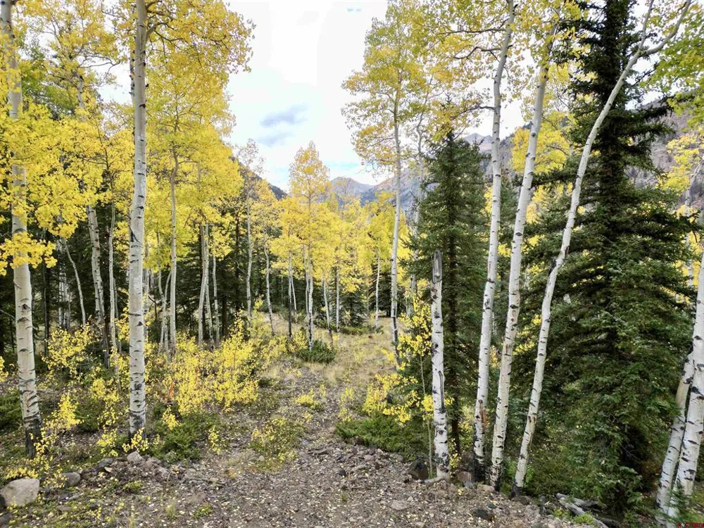 10 Vista Way Lake City, CO 81235
