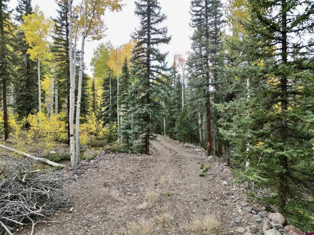 10 Vista Way Lake City, CO 81235