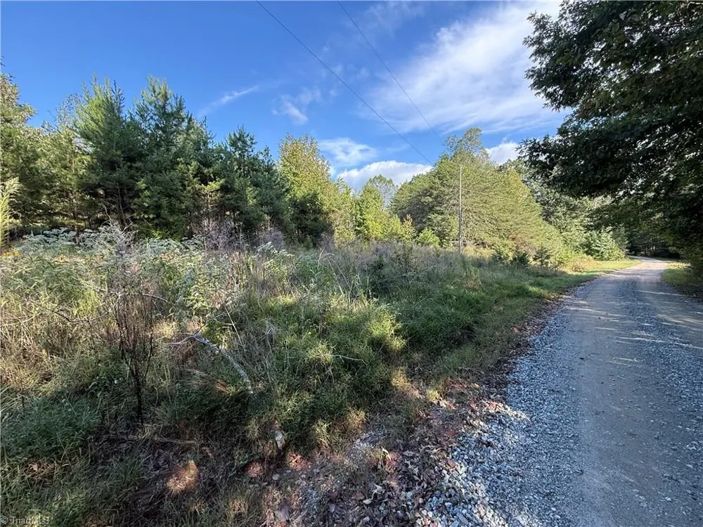 00 lot 2 Easy Street Providence, NC 27315