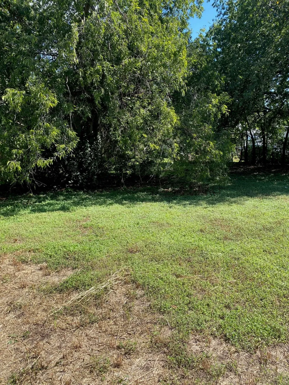 702 Gilmer Street Killeen, TX 76541