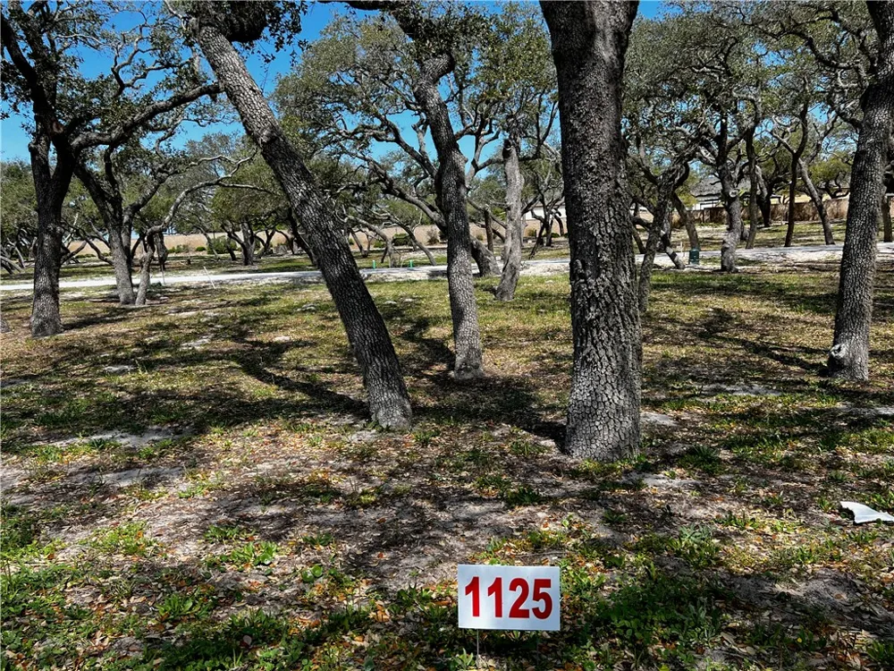 1125 Acorn Drive Fulton, TX 78358