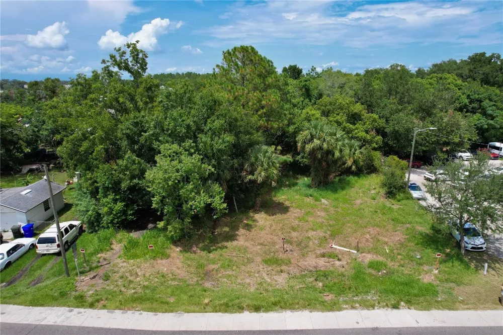319 W SILVER STAR ROAD Ocoee, FL 34761