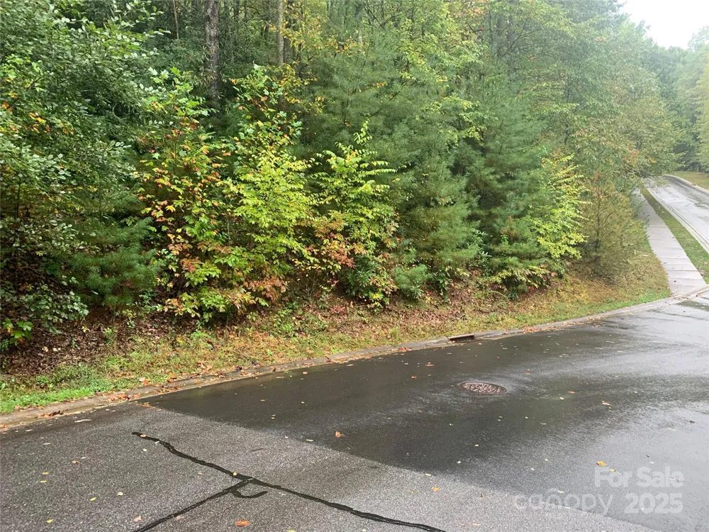 208 Settings Boulevard #248 Black Mountain, NC 28711