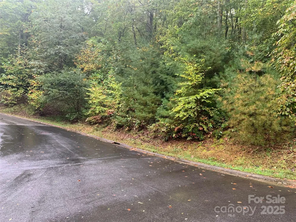 208 Settings Boulevard #248 Black Mountain, NC 28711