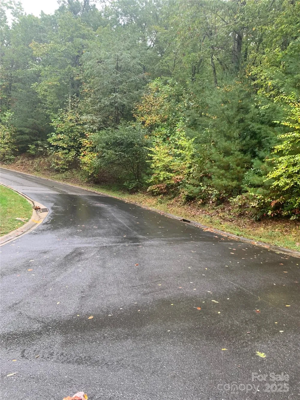 208 Settings Boulevard #248 Black Mountain, NC 28711