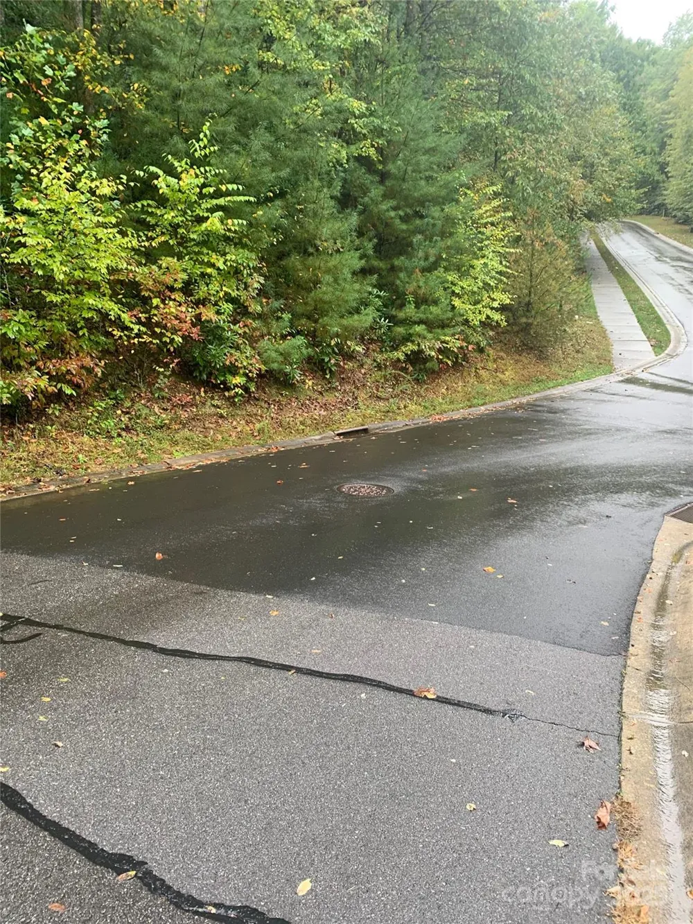 208 Settings Boulevard #248 Black Mountain, NC 28711