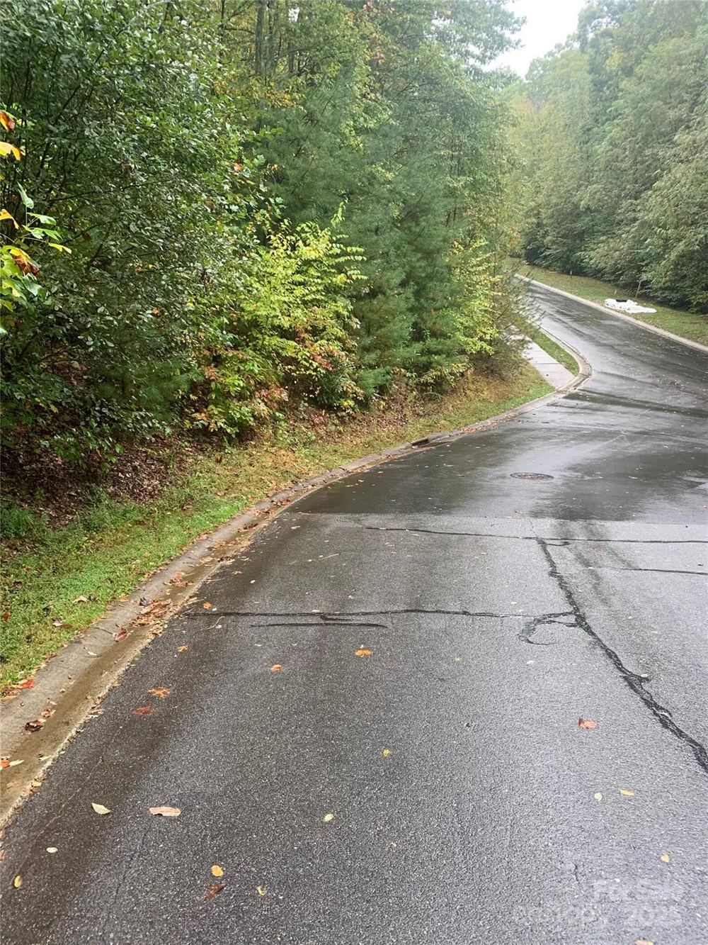 208 Settings Boulevard #248 Black Mountain, NC 28711