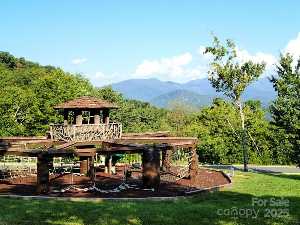 208 Settings Boulevard #248 Black Mountain, NC 28711