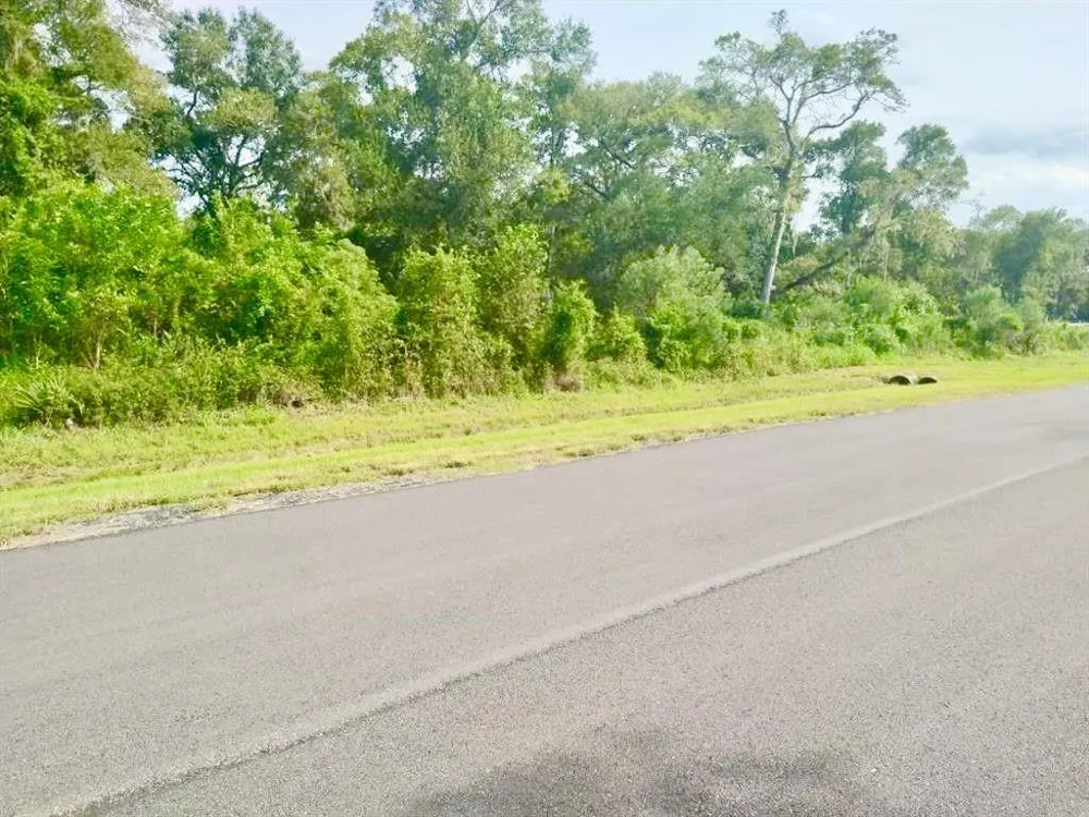 32203 Bayou Bend Richwood, TX 77515