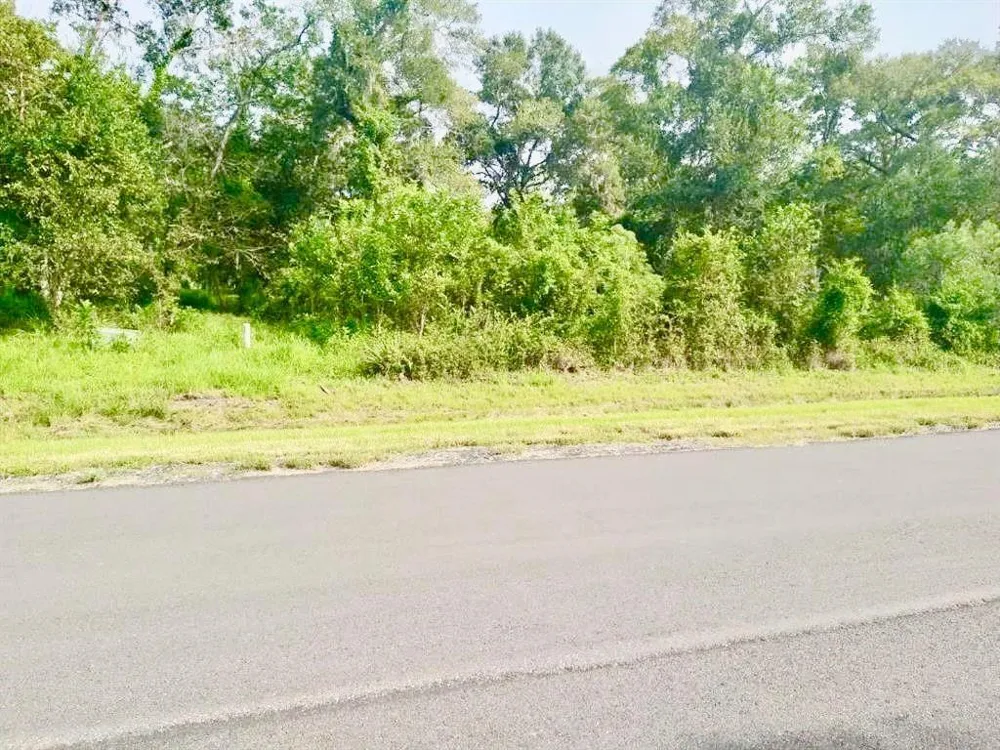 32203 Bayou Bend Richwood, TX 77515