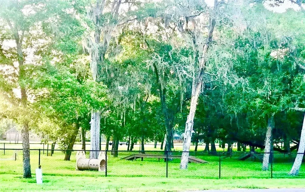 32203 Bayou Bend Richwood, TX 77515