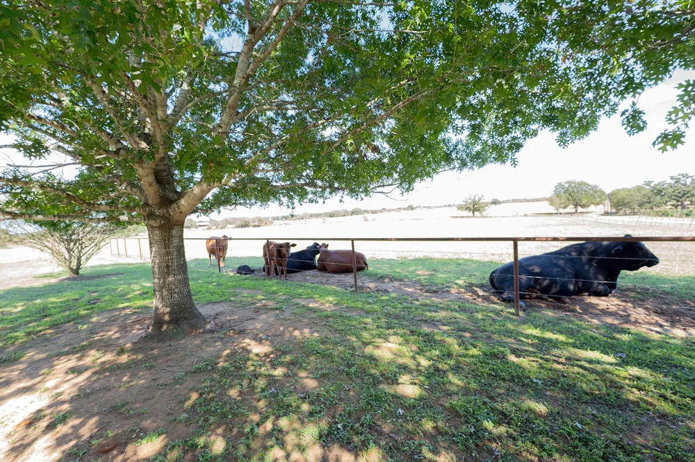 2542 Witter Road Lockhart, TX 78644