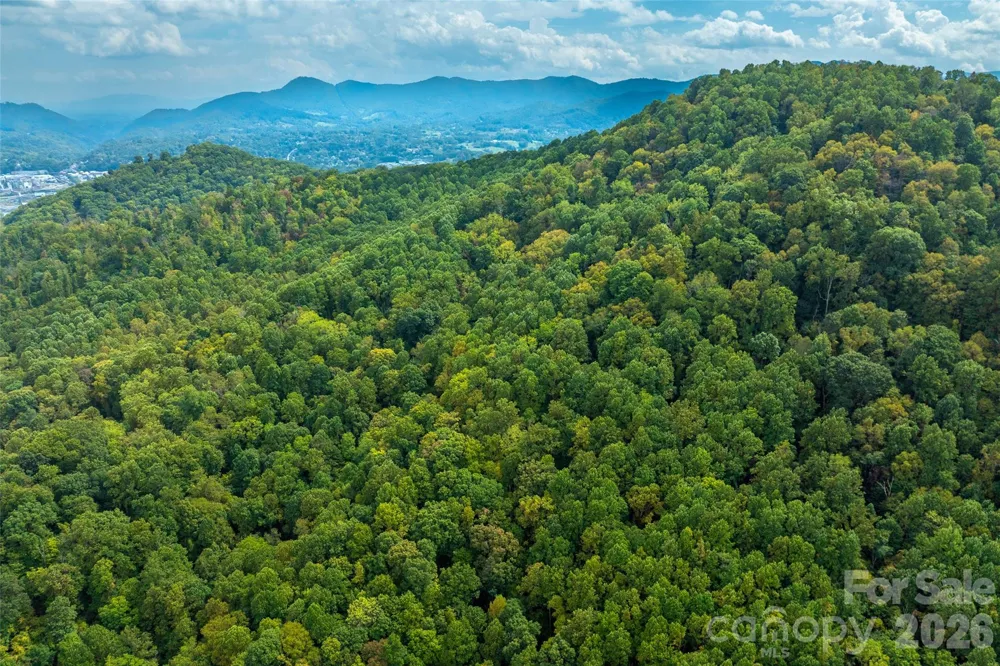 99999 Carolina Boulevard Canton, NC 28716