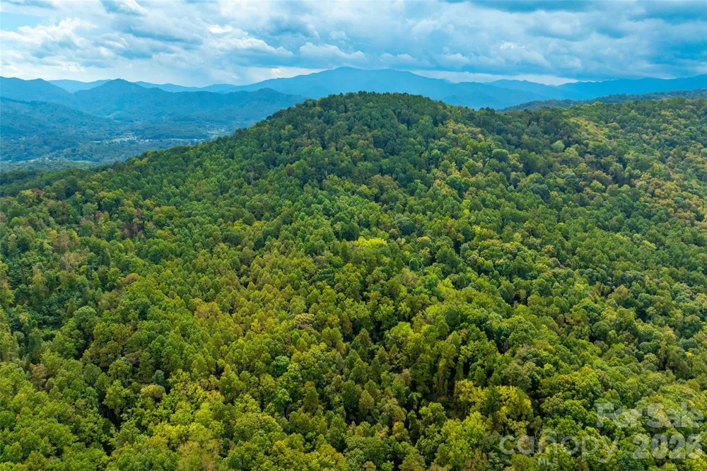 99999 Carolina Boulevard Canton, NC 28716