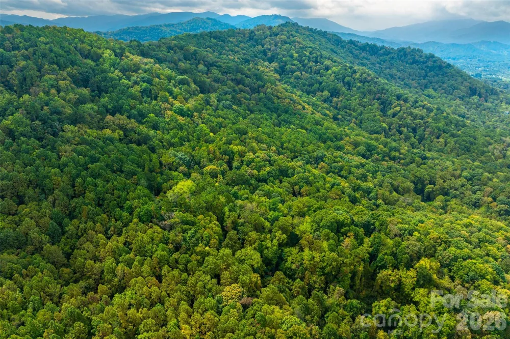 99999 Carolina Boulevard Canton, NC 28716