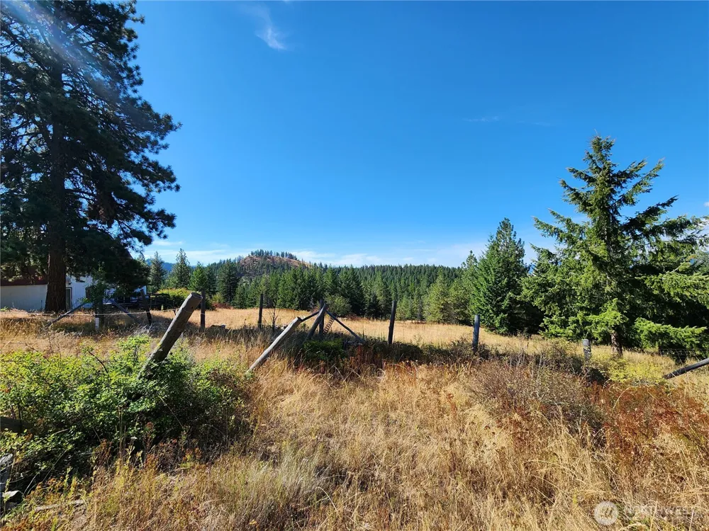 0 Sleepy Hollow Road Curlew, WA 99118