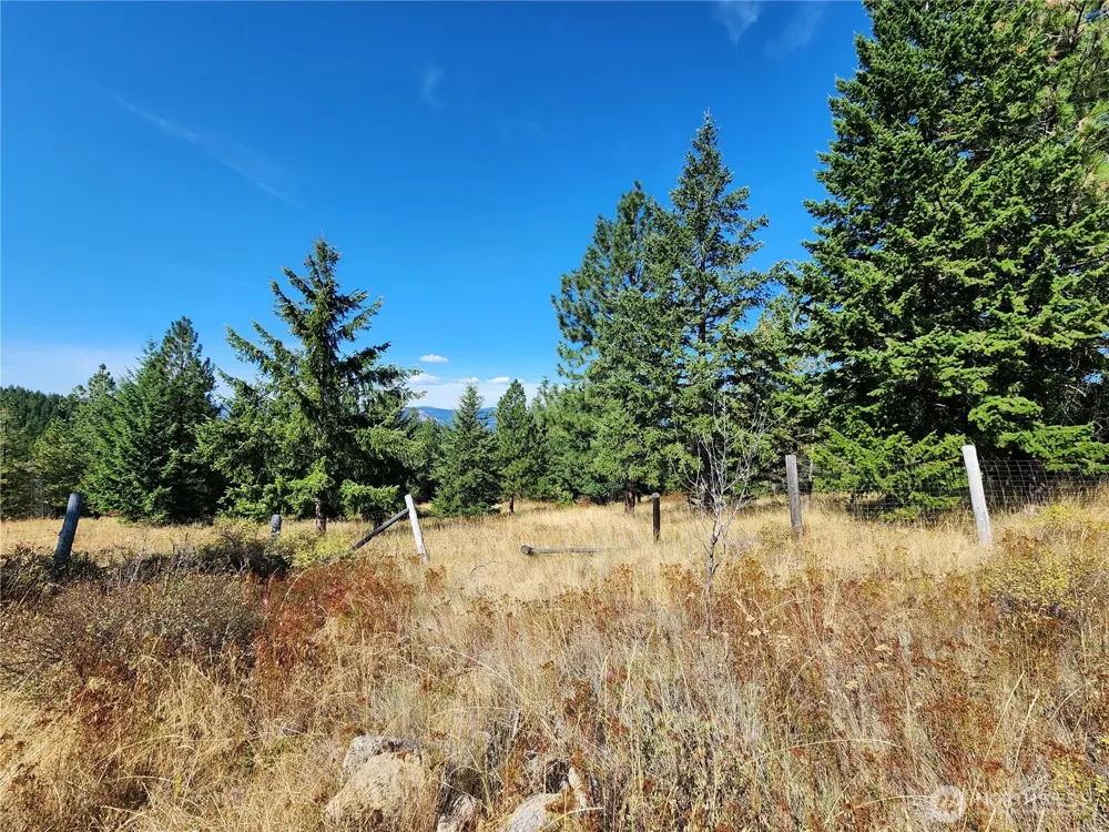 0 Sleepy Hollow Road Curlew, WA 99118