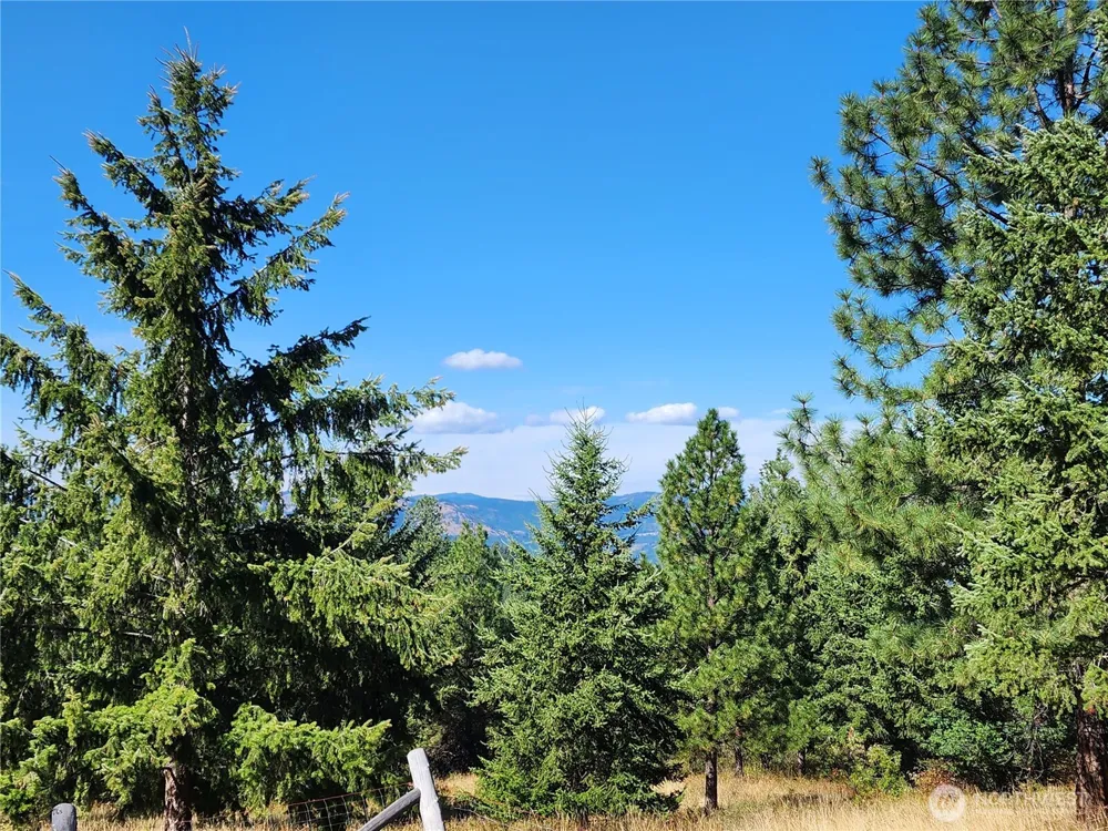 0 Sleepy Hollow Road Curlew, WA 99118
