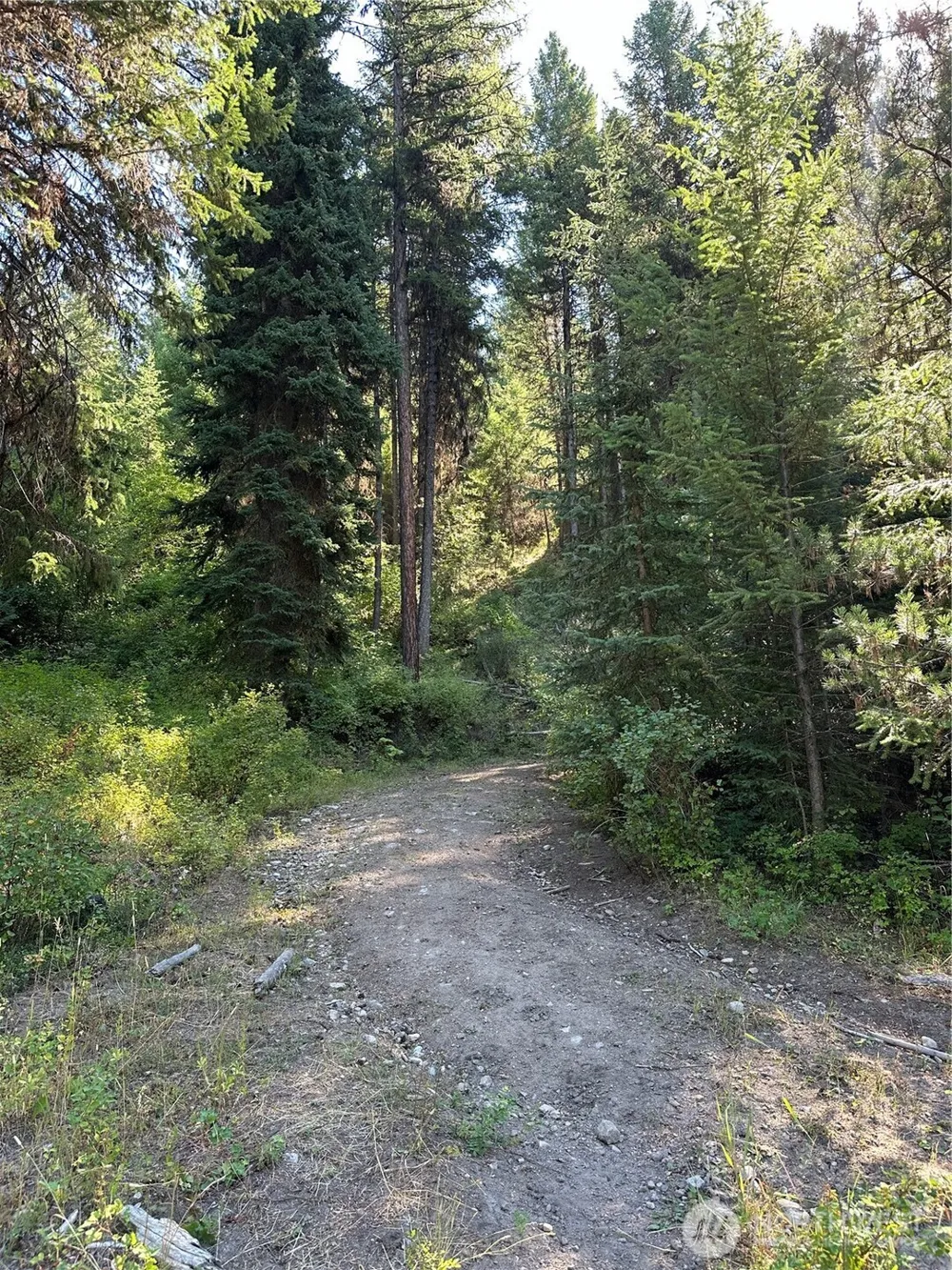 0 Sleepy Hollow Road Curlew, WA 99118