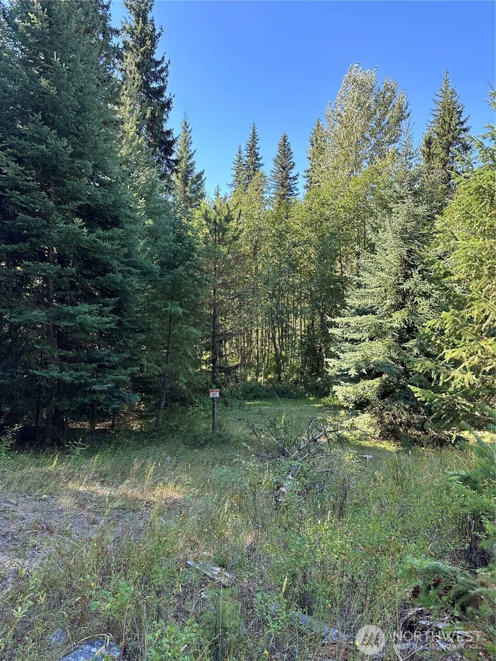 0 Sleepy Hollow Road Curlew, WA 99118