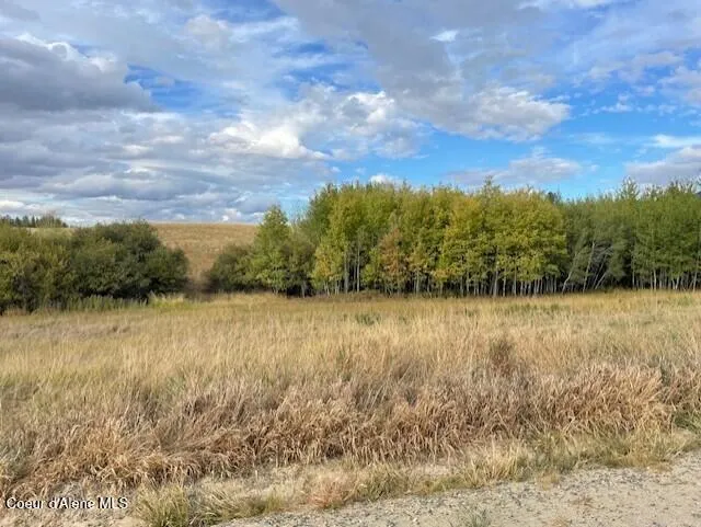 NKA FOX ROAD 150 ACRES Tensed, ID 83870