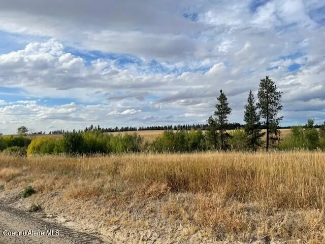 NKA FOX ROAD 150 ACRES Tensed, ID 83870